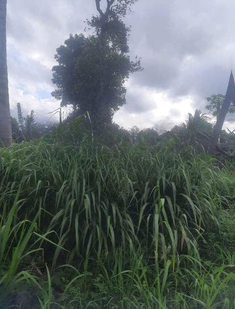 Land For Sale In Maharagama
