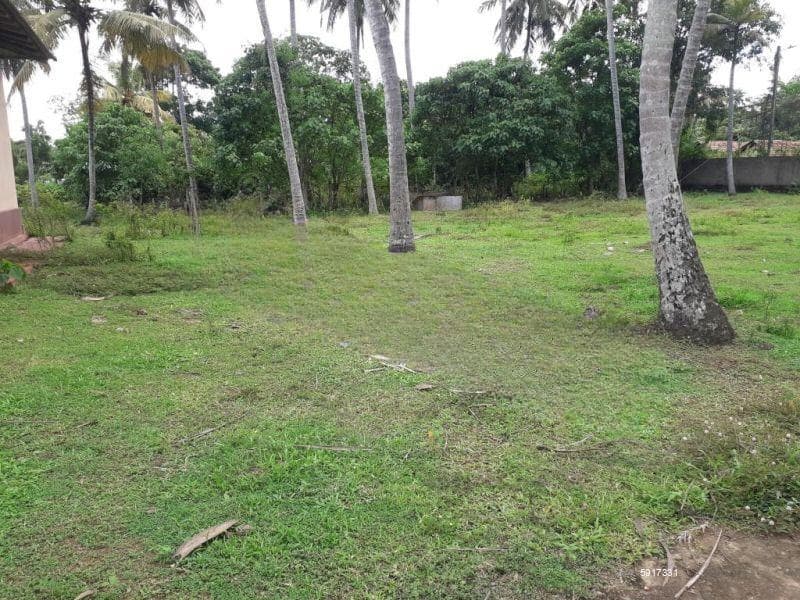 100 perch Resident / Commercial Land for sale- Katunayaka
