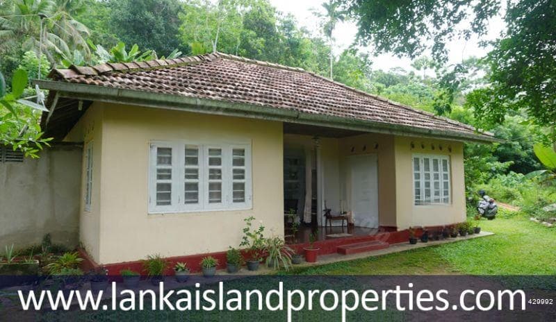 Charming 4-bedroom house with paddy views - LIP 017
