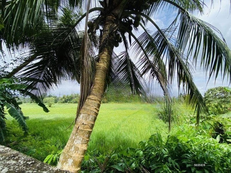 48P with 2 Houses & 50P Paddy Land for Sale Close to Tech City Homagama