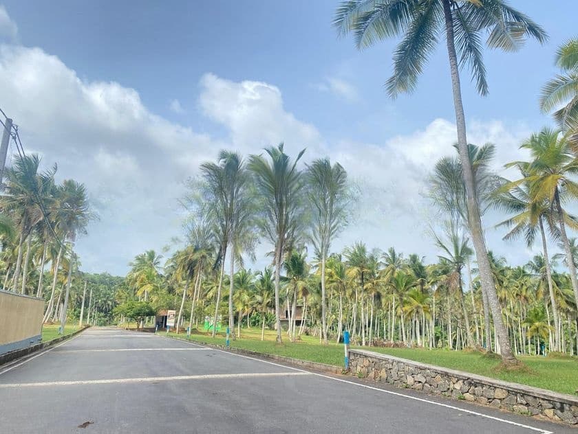 ගම්පහ මිරිස්වත්ත කොළඹ බස් පාරෙන්