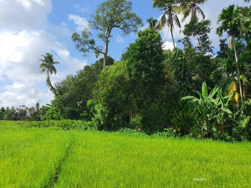 12.8 Perch Paddy Field View Land on Temple Road, Maharagama (SL 14341)