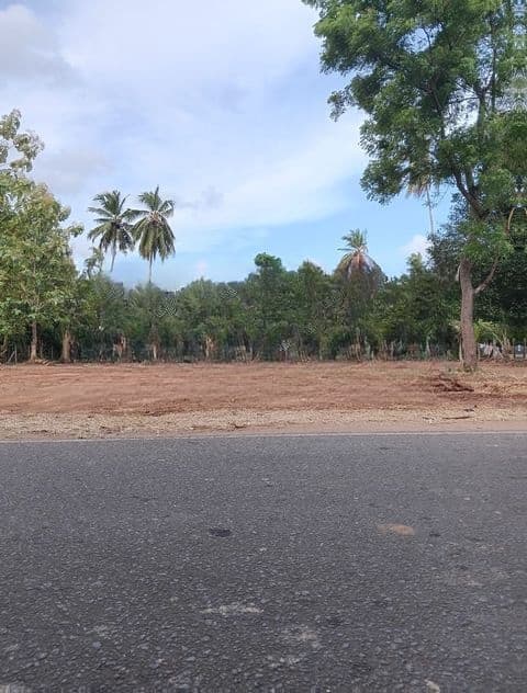 කුට්ටම් පොකුණට අතේ දුරින් සින්නක්කර බිම් කොටස් අනුරාධපුර