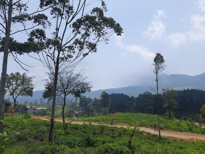 Land for Sale in Ramboda