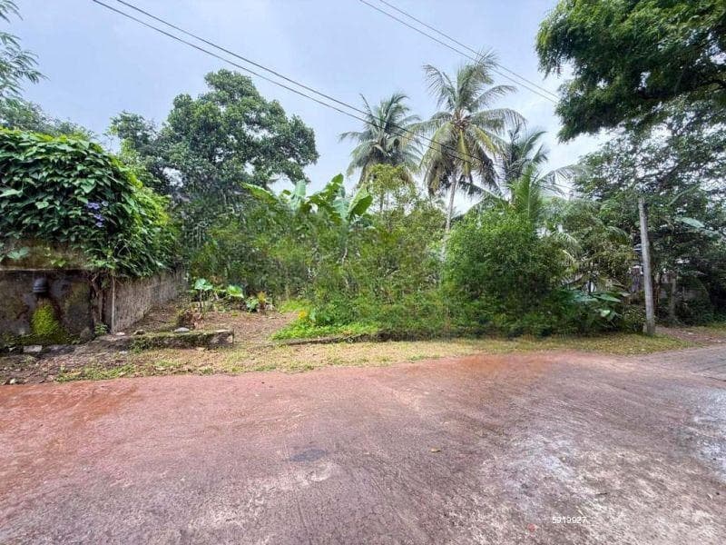 Land for Sale in Thalawathugoda