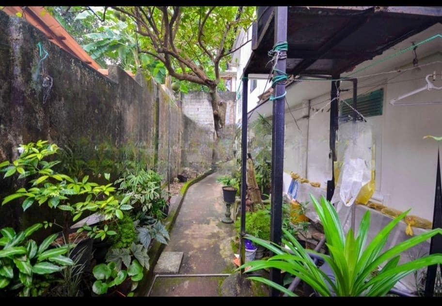 COLOMBO 5 : 8.77P LAND WITH UPSTAIR OLD HOUSE FOR SALE