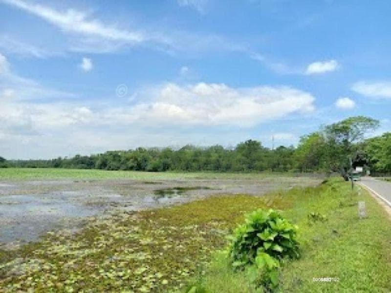 Land for Sale in Lake Road - Wickramasinghepura - Battaramulla | 15 Perches - LKR 3.5 Million Per Perch | KO-564