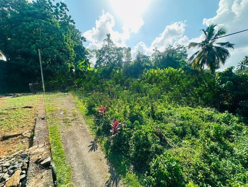 ( YS-1132) Valuable Residential Bare Land Sale in Homagama