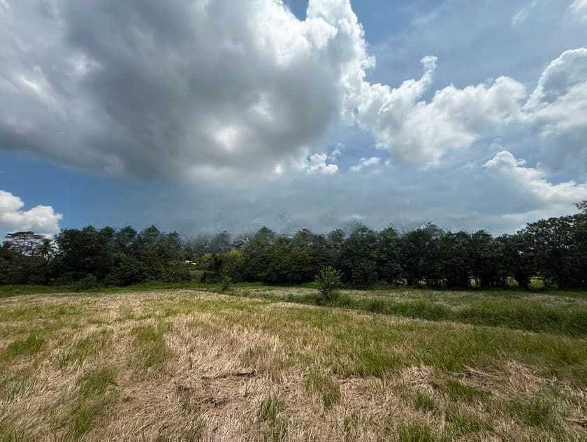 1.5 Acres Land for Sale - Habarakada Ranala