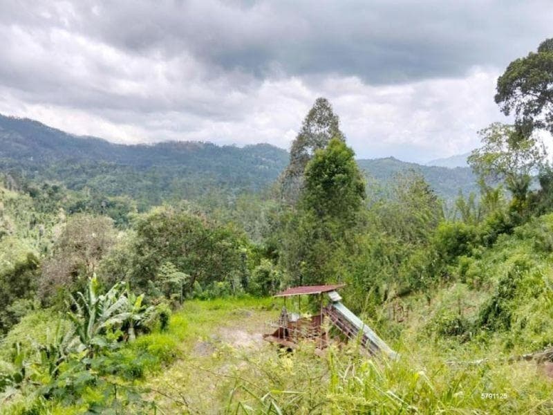 Valuable 10-Acre Land for Sale in Galaha, Kandy.