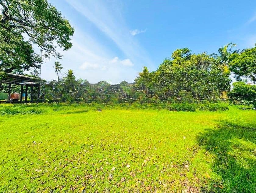 Commercial Land for Sale in Ja-Ela