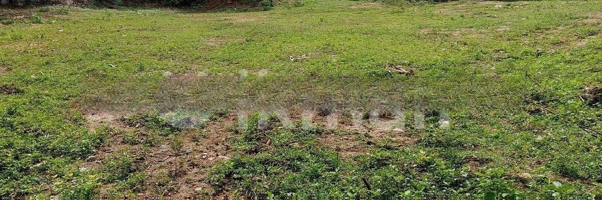 Nugegoda 14.2 P Prime Residential Land for Sale in Mirihana