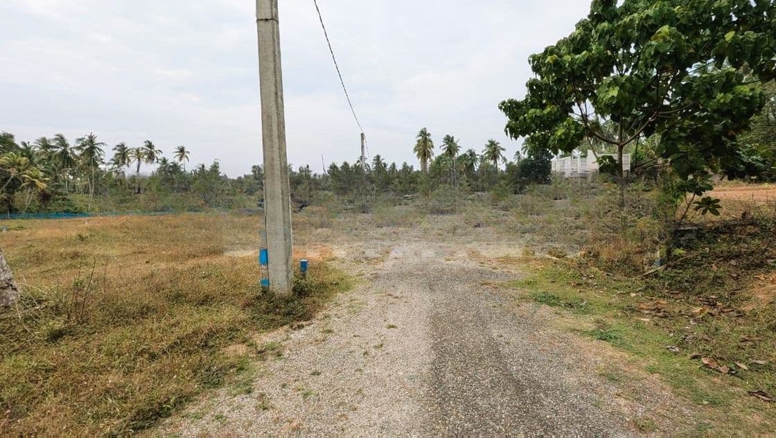 ගම්පහ මිරිස්වත්තෙන් වටිනා ඉඩමක් විකිණීමට