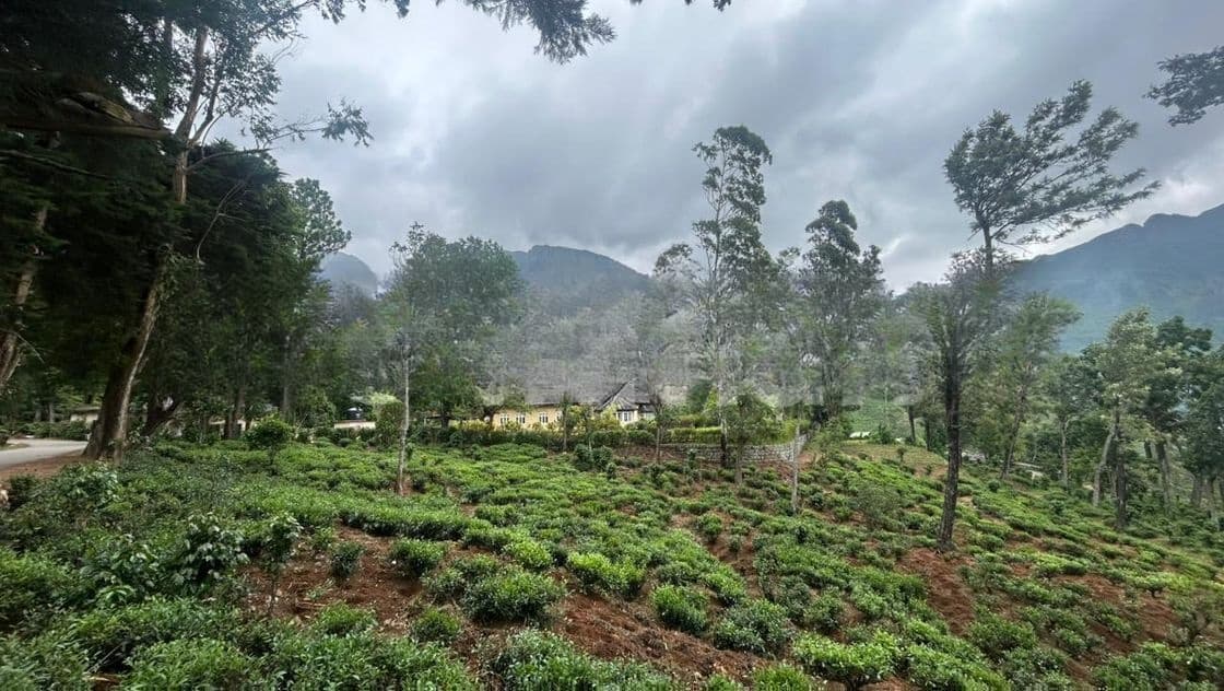 60-Acre Estate with Colonial British Bungalow for Sale-Nuwara Eliya