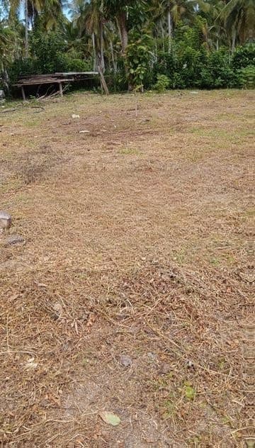 24 Perch Land for Sale in Kandawala