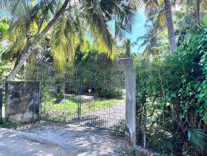 Perfect Land for Sale – Kandana - 229m to Col-Neg Main Road