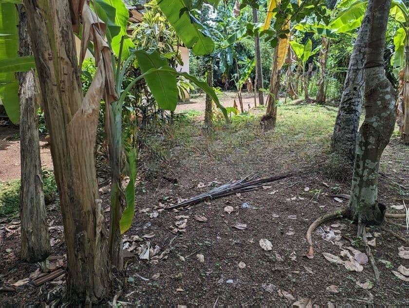 රාගම ලංකා මාතා පාරට මුහුණලා බිම්කොටසක්