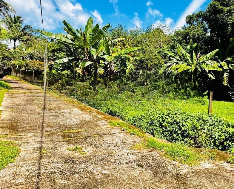 Kadawatha Kirillawala Land for Sale