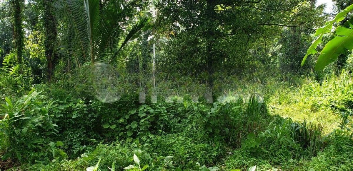 Land For Sale in Pilimathalawa