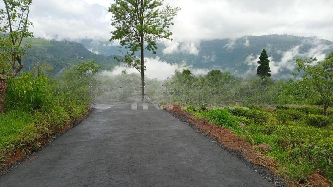 Land for Sale Pundaluoya
