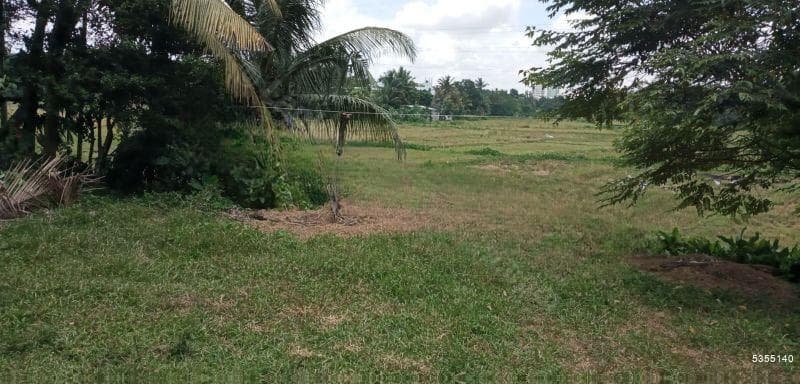 19P Scenic Paddy Facing Land for sale in Welivita Road, Malabe