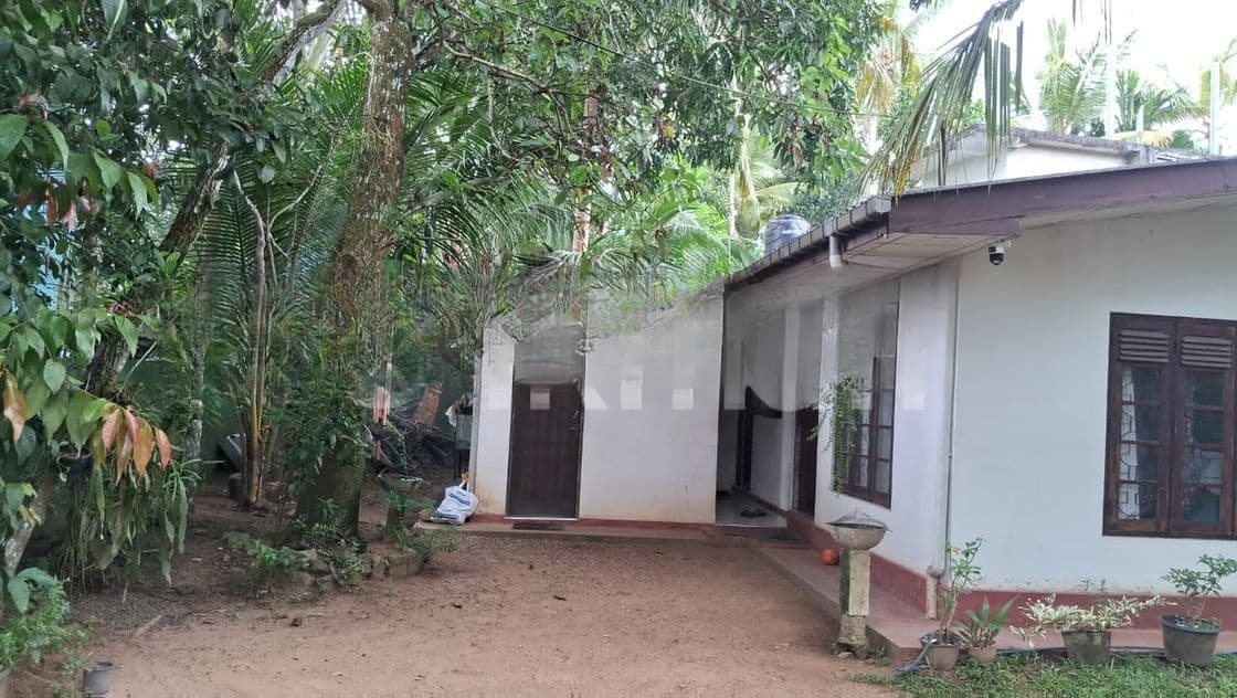 House for Rent in Homagama ( magammana)