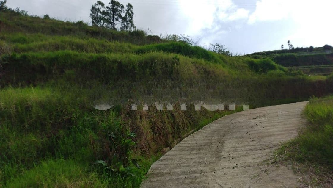 Land for Sale Ambewela