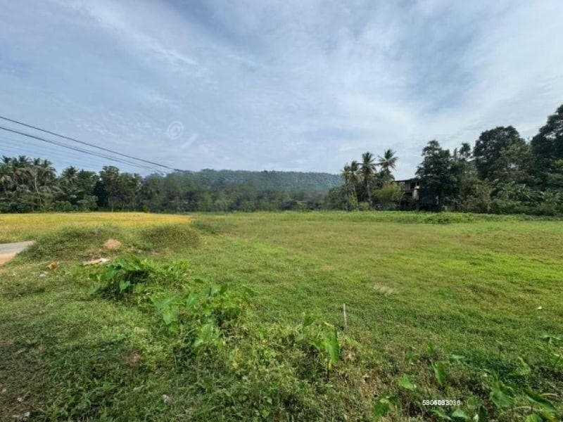Land for Sale - Danowita | LKR 50,000,000