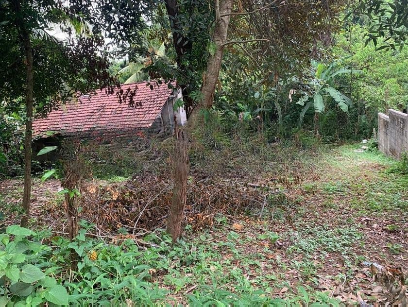 Residential Land for Sale. නේවාසික ඉඩමක් විකිණීමට Ragama.
