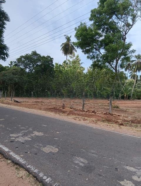 ඉඩමක් අනුරාධපුර