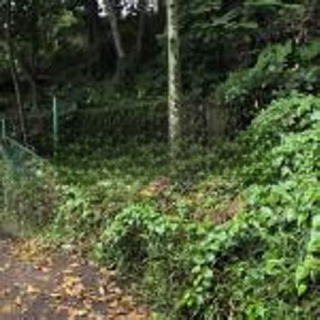 Valuable Land for Sale – Kandy City