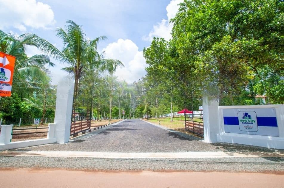 Peaceful Paddy Field Setting Land for Sale in Minuwangoda