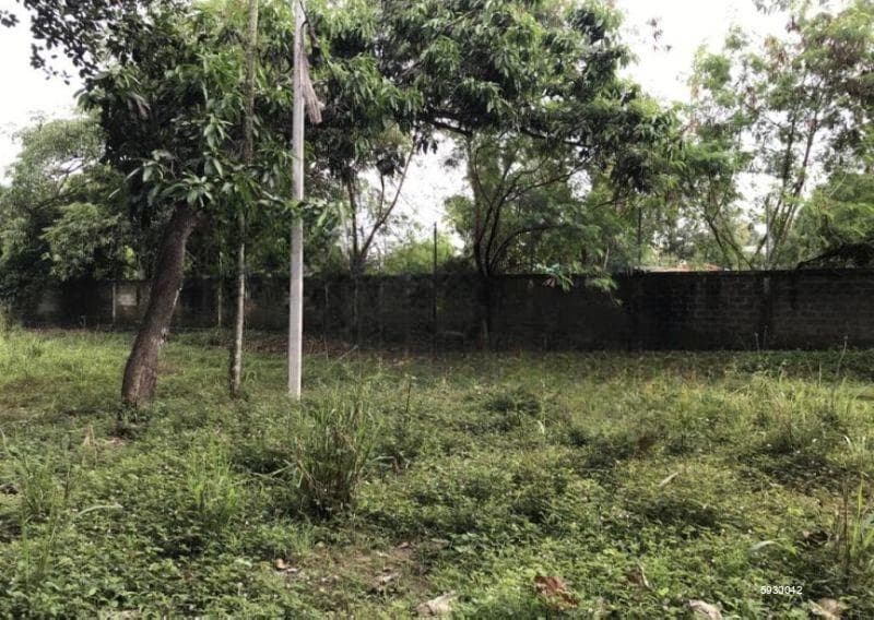 Bare land for sale in Elhena Rajagiriya