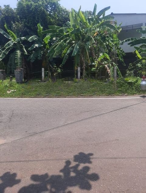 Land For Sale in colombo 05 කිරුලපන