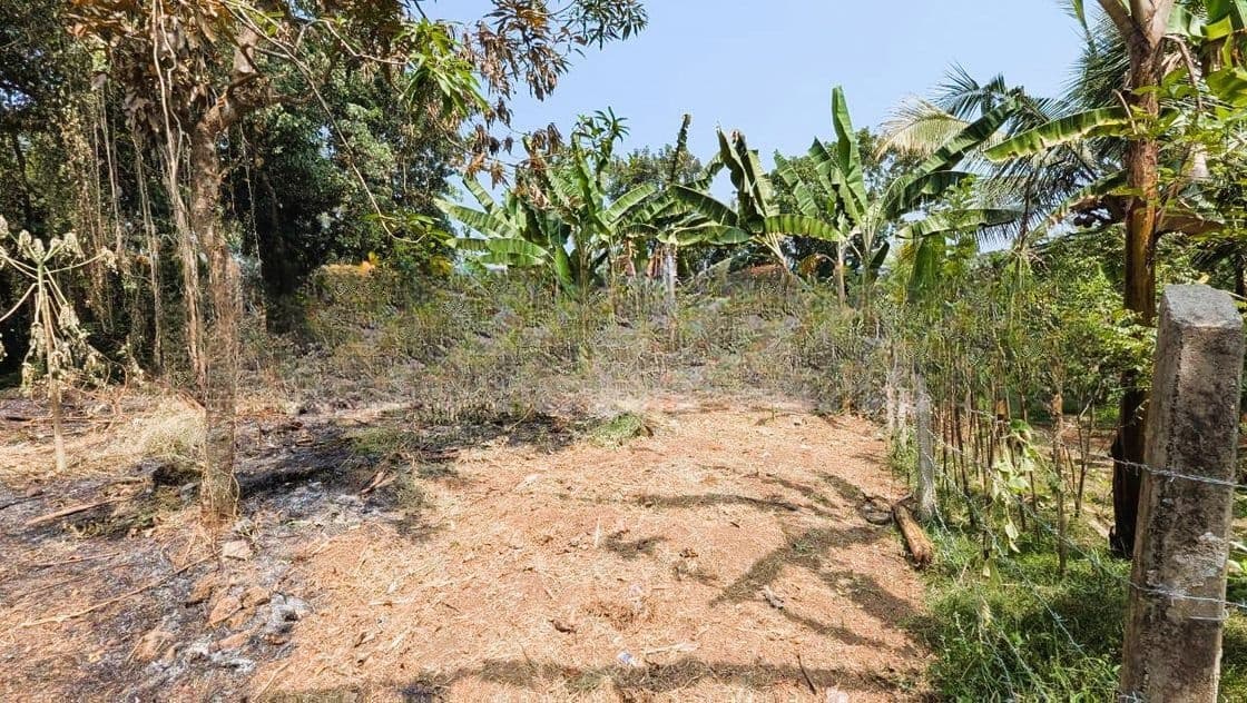 යක්කල නගරයට ඇවිද යන දුරින්