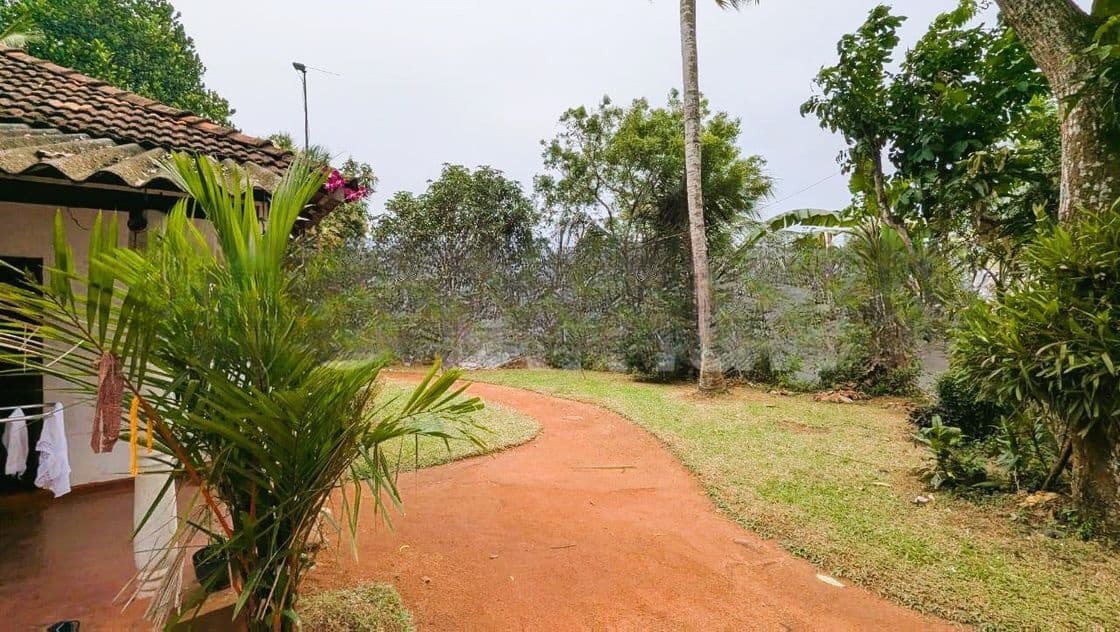 කඩවතින් වටිනා බිම්කොටස්
