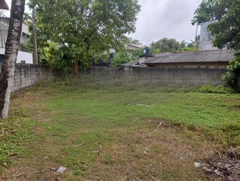 Super Land for Sale Borelesgamuwa