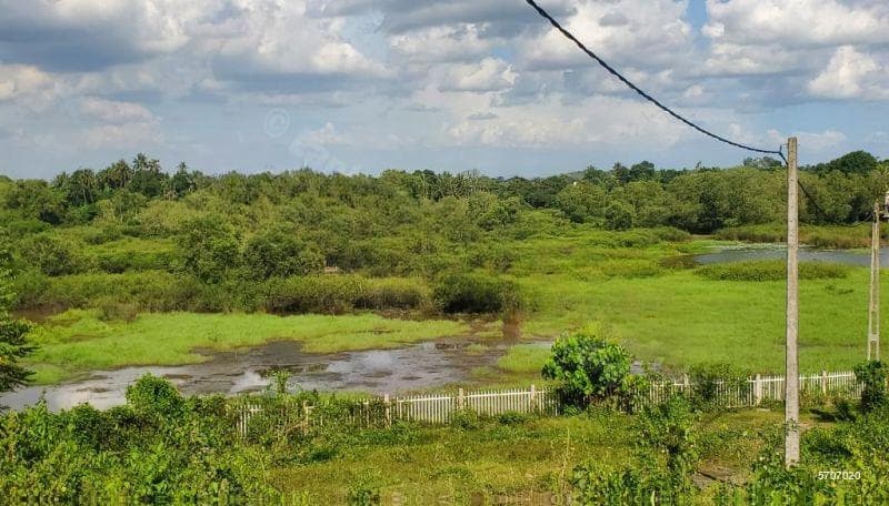 Picturesque 8.5 Perch Land with Paddy Field & Water Front - 1.75 Mn.per Perch