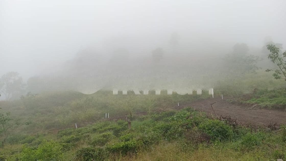 Land for Sale Pussellawa