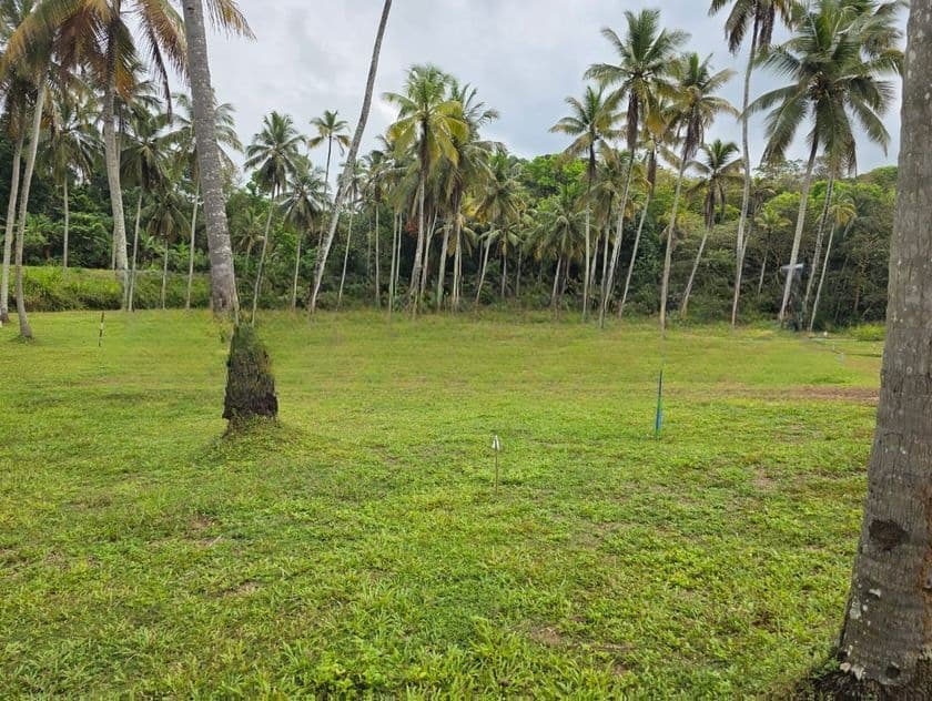 Best Land for Sale in Polgahawela