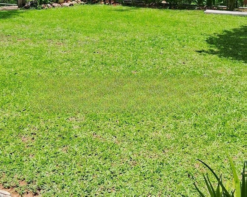 Kurunegala : 22 Perches Commercial Land for Sale