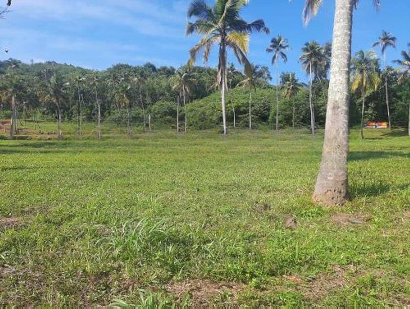 නාරම්මල ටවුමටත් නාකලගමුව අදිවේගි පිවිසුමටත් ලගින් සුපිරි ඉඩමක්