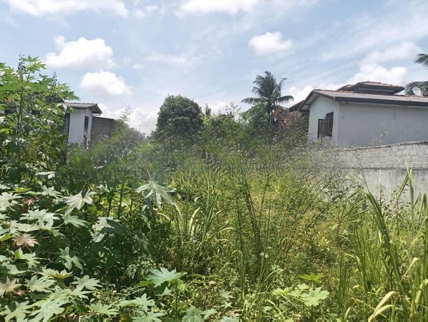 Top Land for Sale Colombo 5