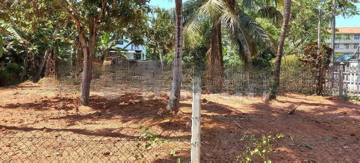 2 land blocks (each10) sale in Negombo