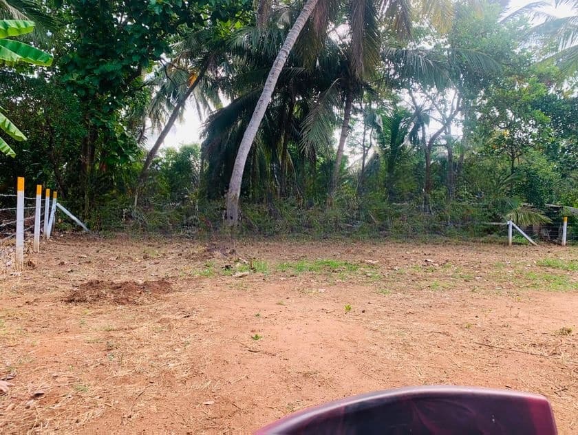 පූජා නගරයට කිට්ටුවෙන් අනුරාධපුර බිම් කොටස්