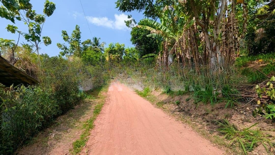 කඩවත මැයිගහමුල හංදියට ලඟින්ම වටිනා ඉඩමක්