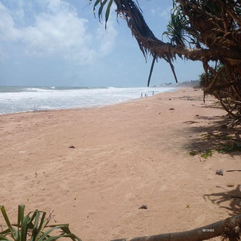 On The Beach Land For Sale Between Hikkaduwa And Bentota-code Add 54