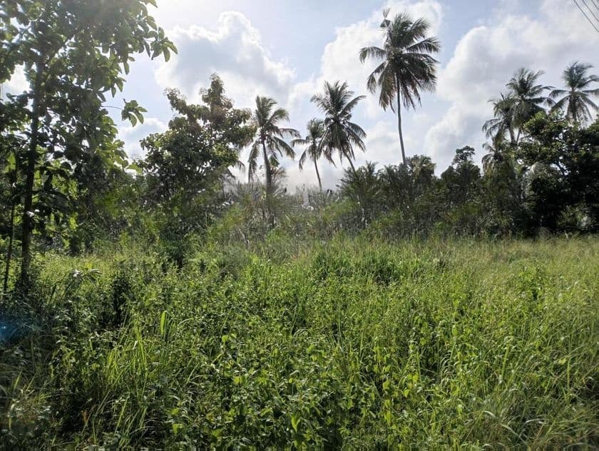 252 Perches Land for Sale Dummalasooriya