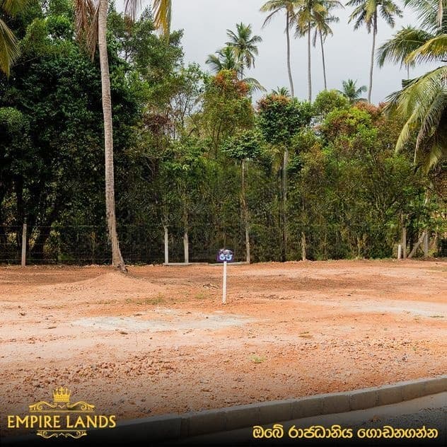 වැදගත් පරිසරයක පදිංචියට කිඹුලාපිටිය කටුනායක බිම් කොටස්
