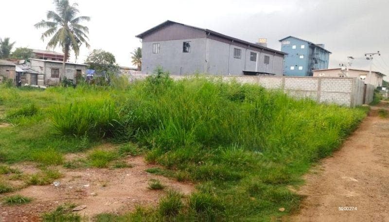 Prime Land for Sale – Wattala